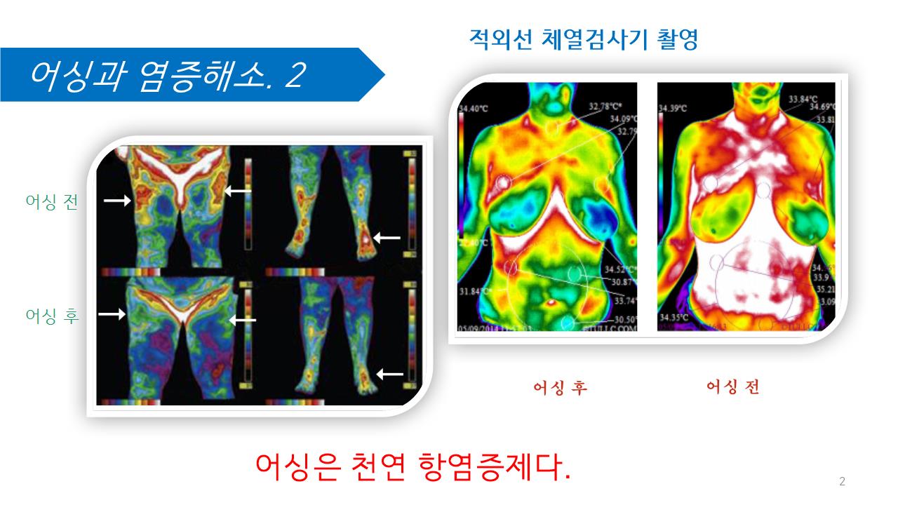 어싱과 염증해소.jpg