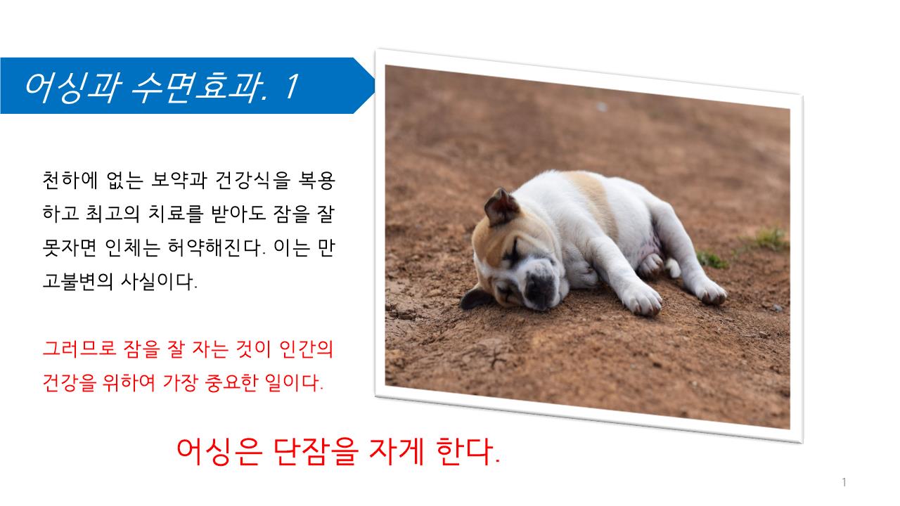 어싱과 수면효과.jpg