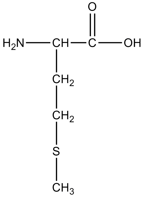 MethionineStructure.png