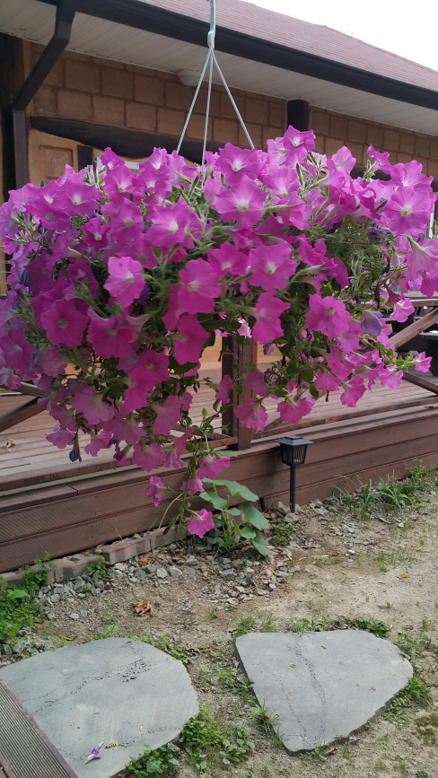 꾸미기_20150611_171410.jpg