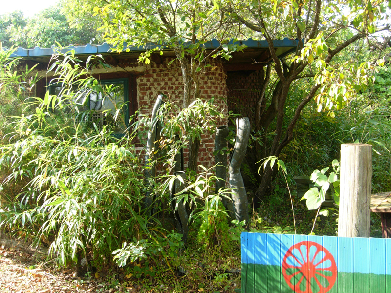 88.jpg