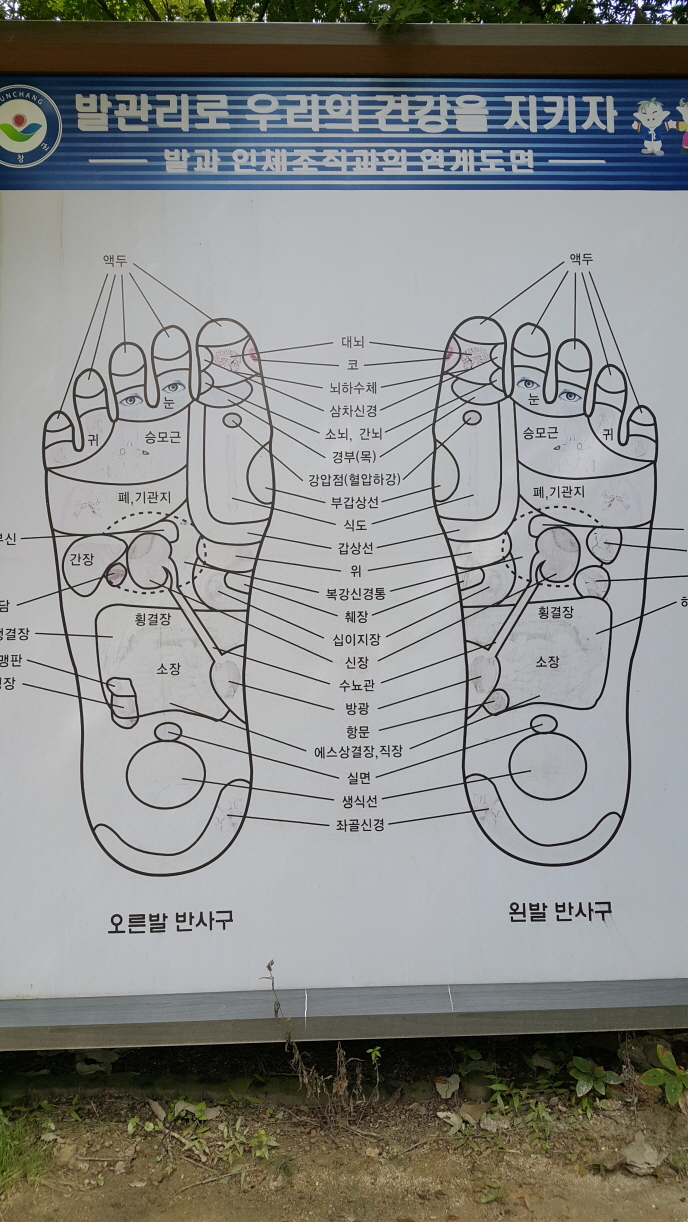 꾸미기_20171010_115757.jpg