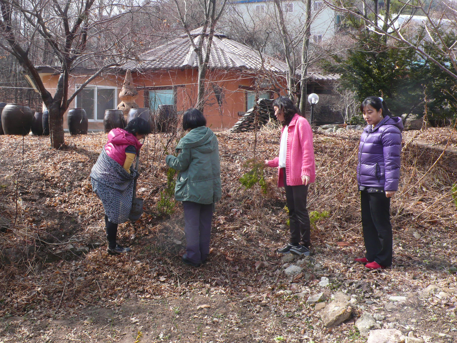 P1060926.JPG